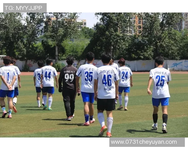 深圳足球队的拼搏之路:一段不屈不挠的奋斗纪实与荣耀回顾